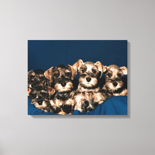 24117057 CANVAS AFDRUK (Voorkant)