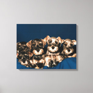 24117057 CANVAS AFDRUK