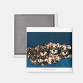 24117057 MAGNEET (Voorkant / Achterkant)