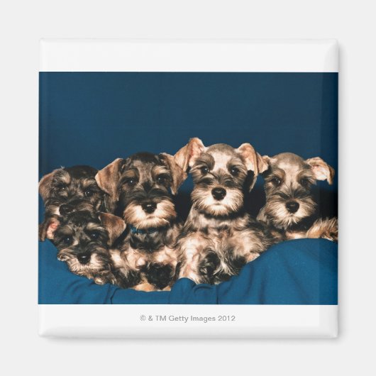 24117057 MAGNEET (Voorkant)