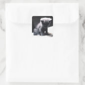 24117556 VIERKANTE STICKER (Tas)