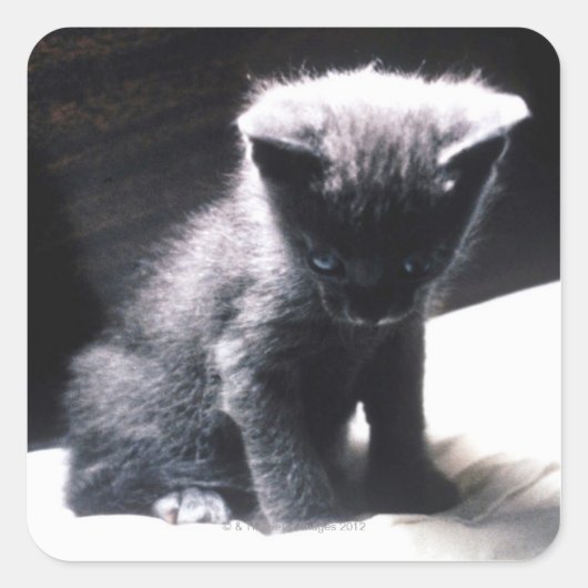 24117556 VIERKANTE STICKER (Voorkant)