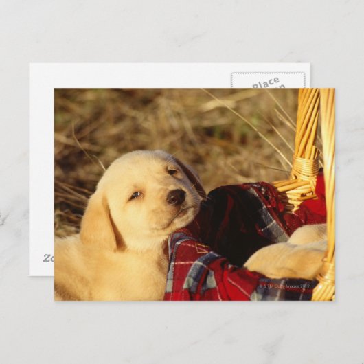 24117967 BRIEFKAART (Voorkant / Achterkant)