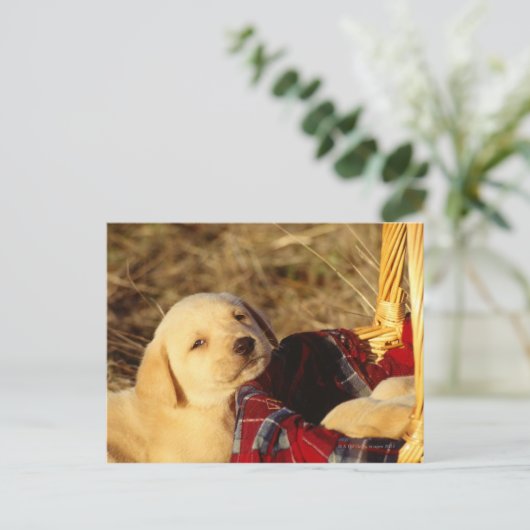 24117967 BRIEFKAART (Staand voorkant)