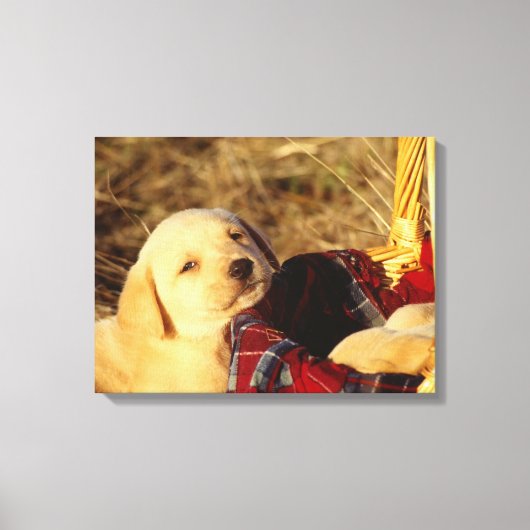 24117967 CANVAS AFDRUK (Voorkant)