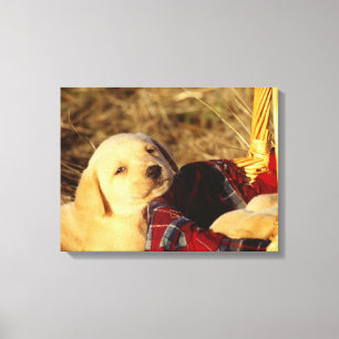 24117967 CANVAS AFDRUK