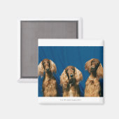 24119671 MAGNEET (Voorkant / Achterkant)