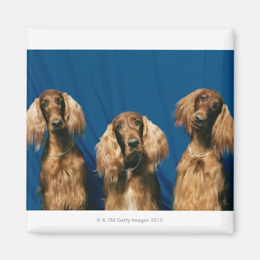 24119671 MAGNEET (Voorkant)