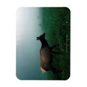 24121885 MAGNEET (Verticaal)