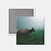 24121885 MAGNEET (Voorkant / Achterkant)