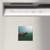 24121885 MAGNEET (Insitu (Vaatwasser))