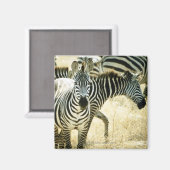 24123844 MAGNEET (Voorkant / Achterkant)