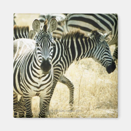 24123844 MAGNEET (Voorkant)