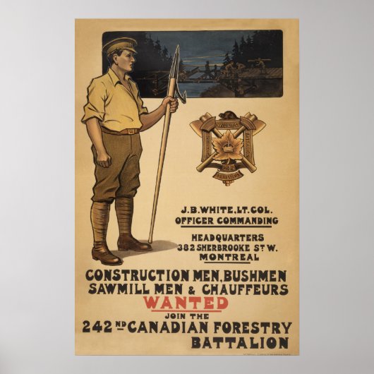 242e Canadese veldbataljon1915 Poster (Voorkant)