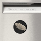 243 IDA (A884 SB) MAGNEET (Insitu (Vaatwasser))