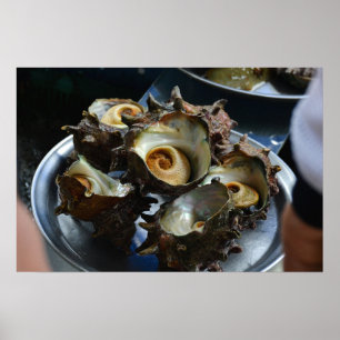 24×16 Haenyeo Sora Conch Oogst Foto Print