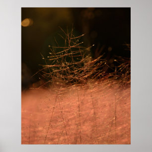 24×30 Roze Muhly Jeju-do Zuid-Korea Foto Afdruk Poster
