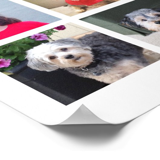 24 Fotocollage met Familienaam Datum - Wit Poster (Hoek)