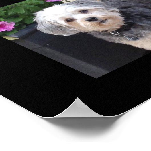 24 Fotosjabloon Collage met aangepaste tekst Poster (Hoek)