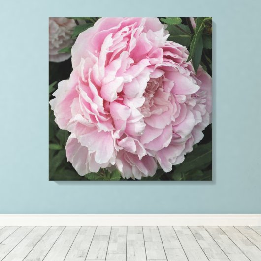 24-inch x24-inch roze pony canvas afdruk (Insitu (Houten vloer))