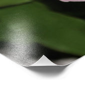 24-inch x24-inch roze pony foto afdruk (Hoek)