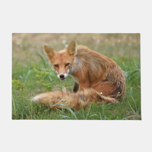 24-inch x 36-inch portaalmat van vossen deurmat (Voorkant)