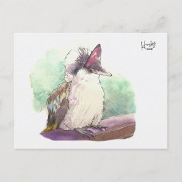 24 : Kookaburra Briefkaart