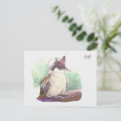 24 : Kookaburra Briefkaart (Staand voorkant)