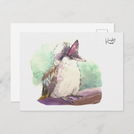 24 : Kookaburra Briefkaart (Voorkant / Achterkant)