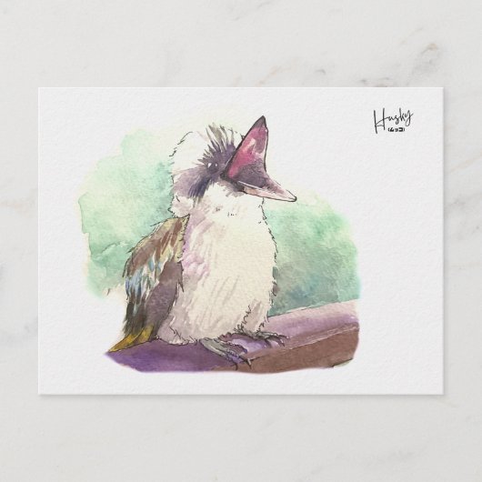 24 : Kookaburra Briefkaart (Voorkant)