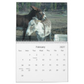 24-maands Darling Donkey-agenda Kalender (Feb 2027)
