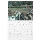 24-maands Darling Donkey-agenda Kalender (Mar 2027)