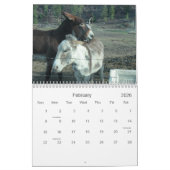 24-maands Darling Donkey-agenda Kalender (Feb 2026)