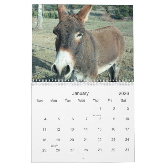24-maands Darling Donkey-agenda Kalender (Jan 2026)
