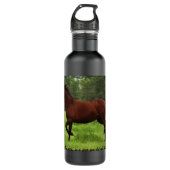 24 oz. waterfles  (Voorkant)