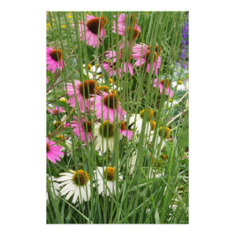 24"x36"Coneflowers Foto Afdruk