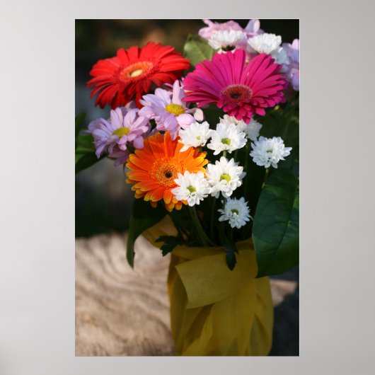 24 x 24 inch, Value-Poster papier (Matte) Poster (Voorkant)