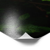 24 x 36-inch Oakleaf Hydrangea Foto Afdruk (Hoek)