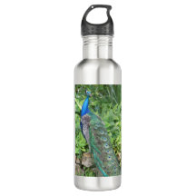 24oz Roestvrij staal flesje Peacock Water