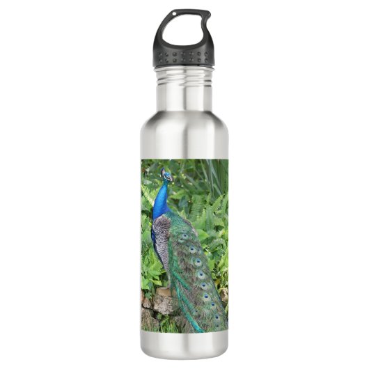 24oz Roestvrij staal flesje Peacock Water Waterfles (Voorkant)