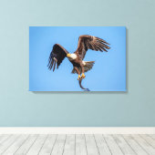 24x16 Bald Eagle met een vis Canvas Afdruk (Insitu (Houten vloer))