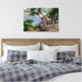24x16 Bald Eagle met het nest Canvas Afdruk (Insitu (Slaapkamer))