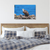 24x16 Osprey op de rotsen Canvas Afdruk (Insitu (Slaapkamer))