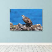 24x16 Osprey op de rotsen Canvas Afdruk (Insitu (Houten vloer))