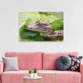24x16 Young Alligator Canvas Afdruk (Insitu (Woonkamer))
