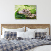 24x16 Young Alligator Canvas Afdruk (Insitu (Slaapkamer))