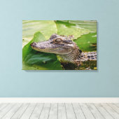 24x16 Young Alligator Canvas Afdruk (Insitu (Houten vloer))