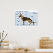 24x18 Canine-anatomie Poster (Keuken)