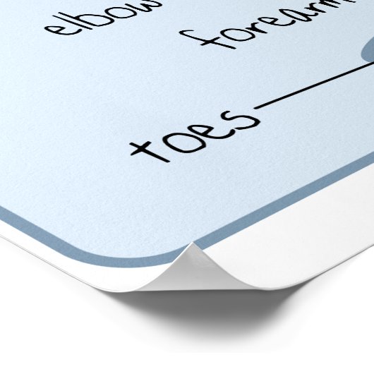 24x18 Canine-anatomie Poster (Hoek)