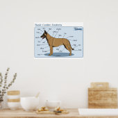 24x18 Canine-anatomie Poster (Keuken)
